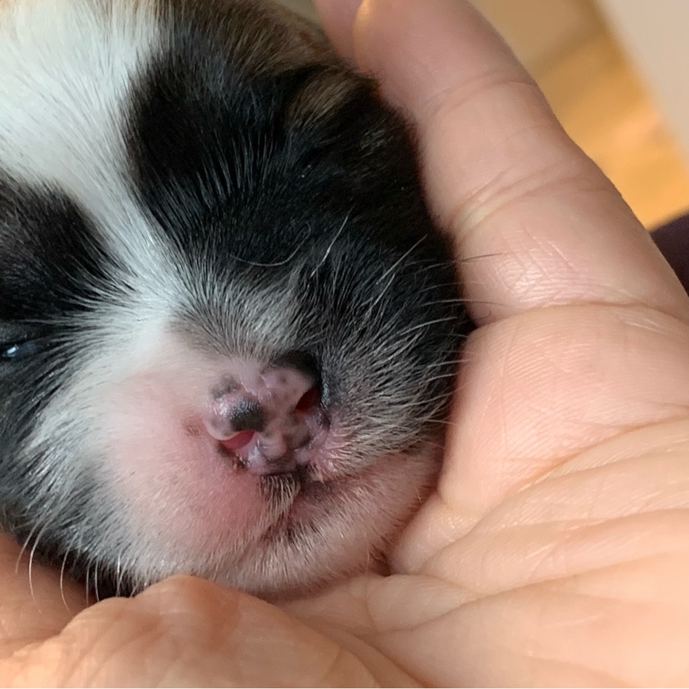 Hi, I’m Jennifer with my daughter, Emelia.